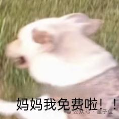 GPT-4.5马上发布,GPT-5免费畅聊,奥特曼剧透大动作,网友:让DeepSeek整破防了