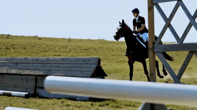 开源的风吹到视频生成:阿里开源登顶VBench的万相大模型,一手实测来了