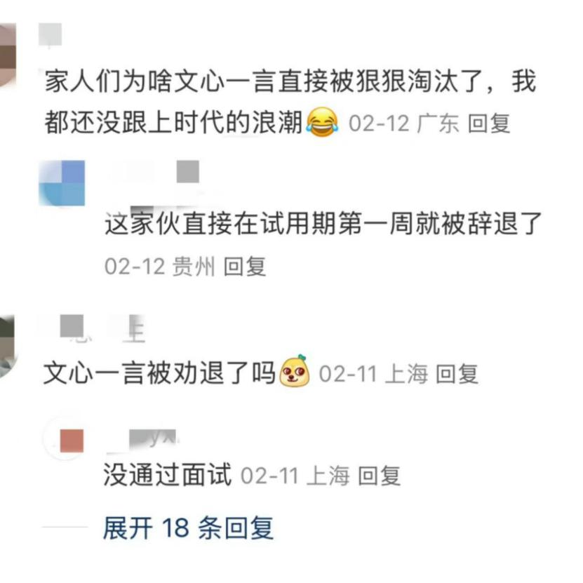 我已确诊为“DeepSeek人格”