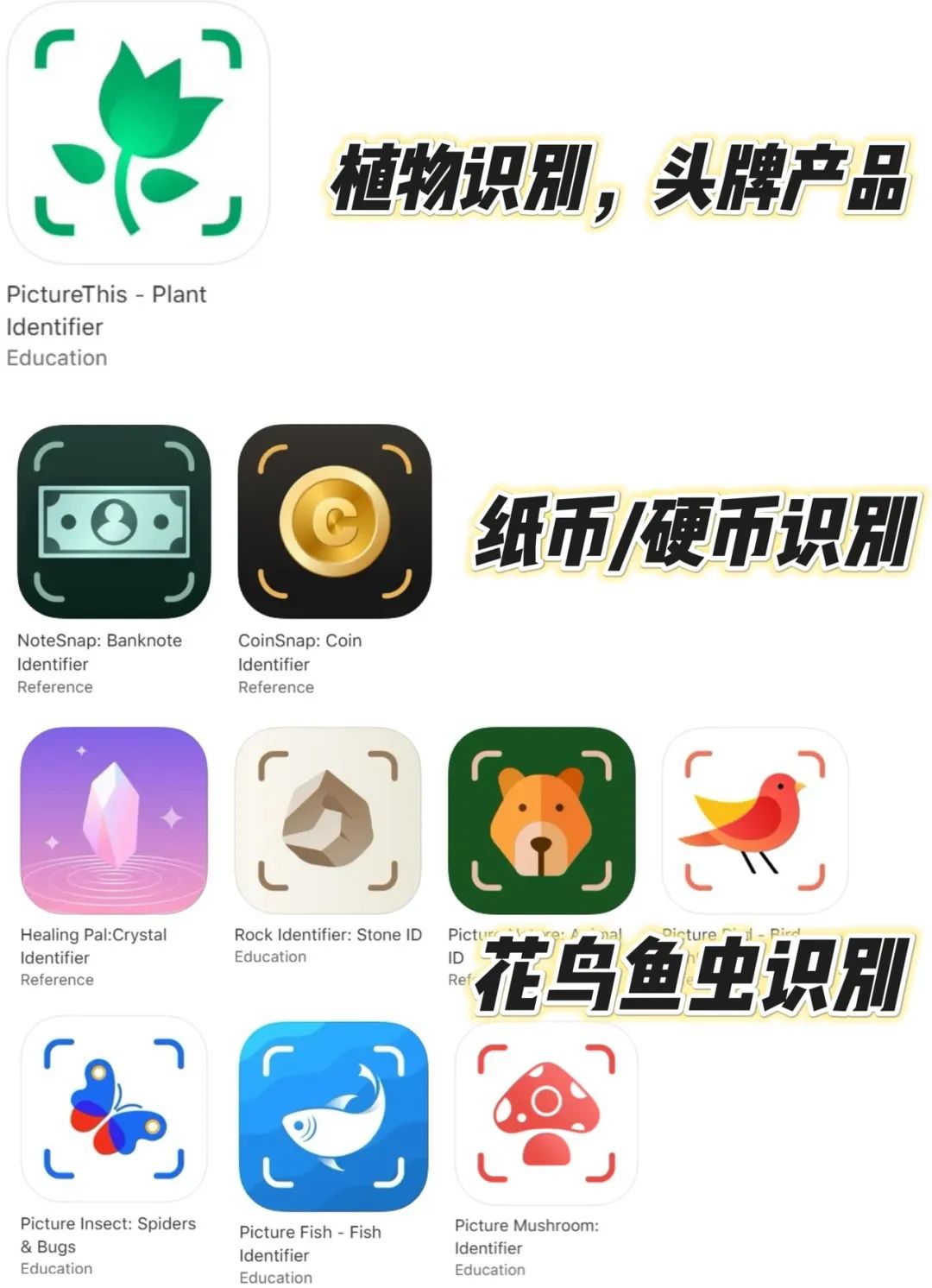 中国最低调的AI应用工厂，上线19个产品，年收入超10亿