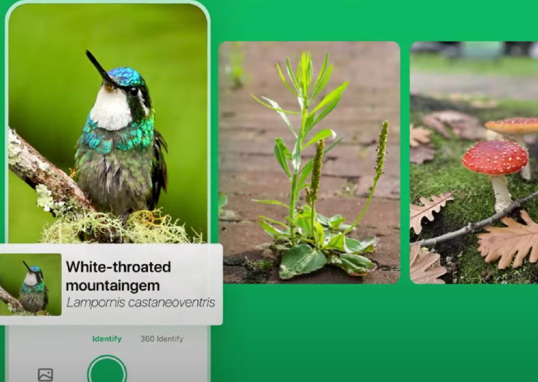 中国最低调的AI应用工厂，上线19个产品，年收入超10亿