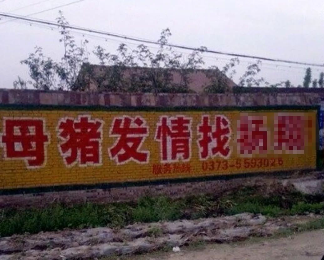 “三下乡”轮到AI,赛博“老头乐”来袭