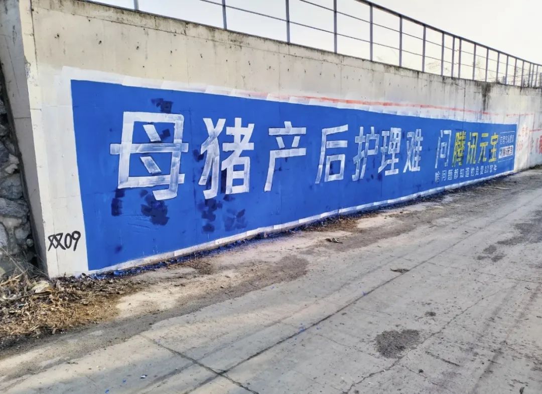 “三下乡”轮到AI,赛博“老头乐”来袭