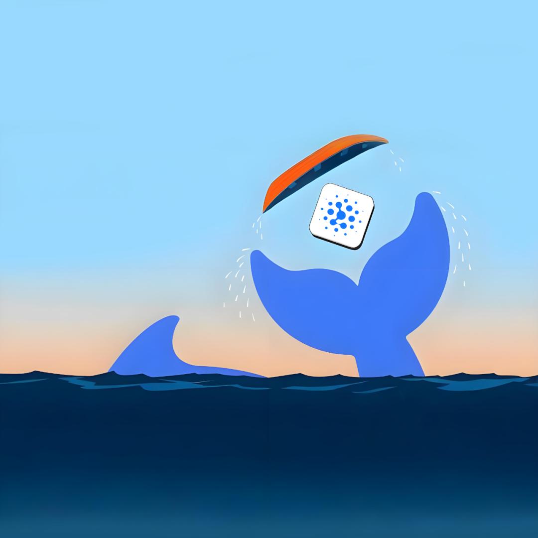 后DeepSeek时代:六小虎向左,BAT向右