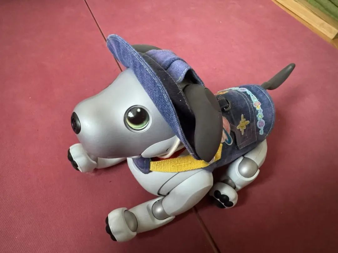 今年又一个火出海外的中国AI,萌翻了