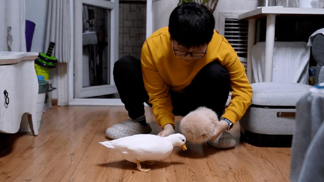 今年又一个火出海外的中国AI,萌翻了