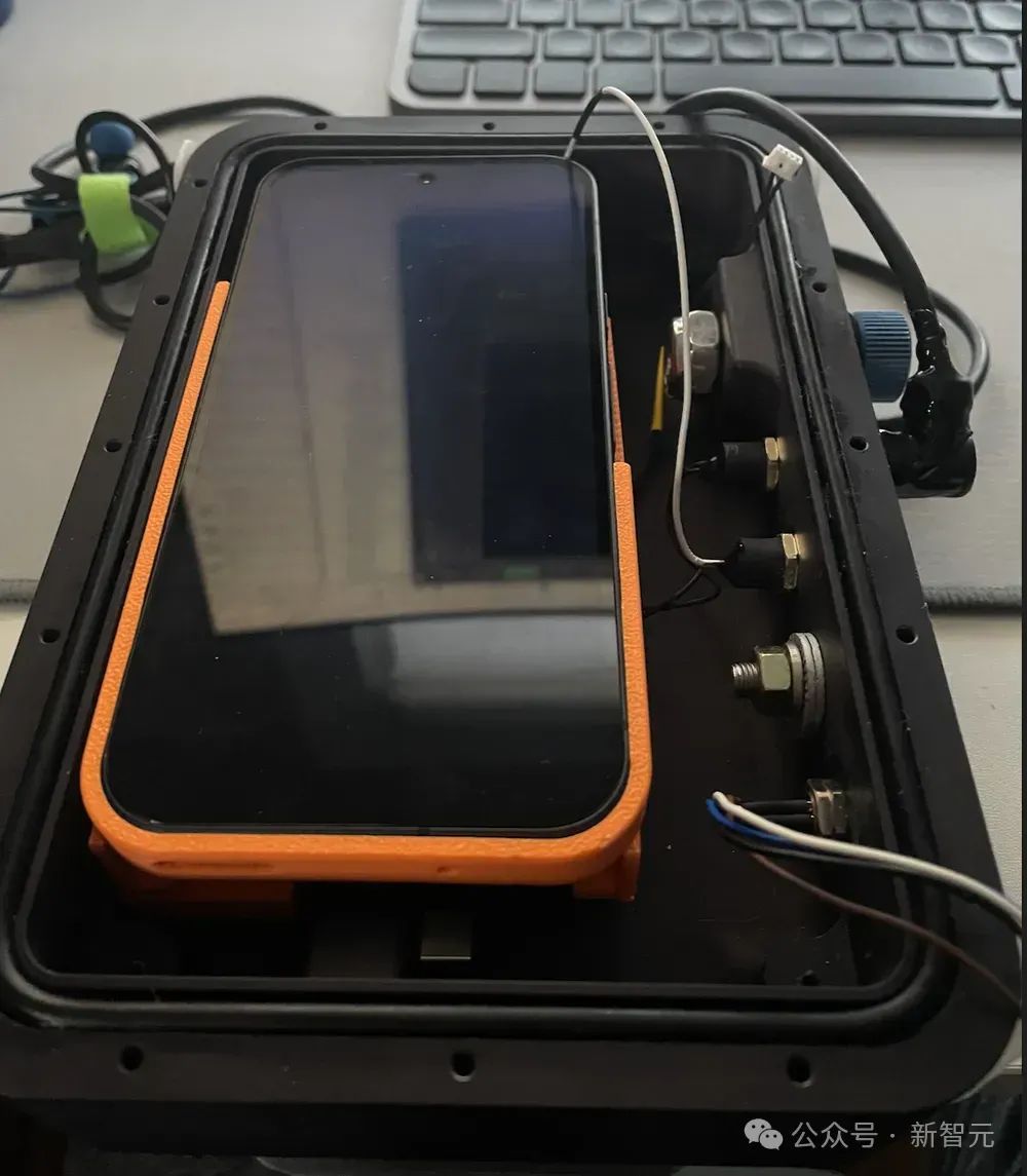 谷歌AI成功破解海豚语，海洋版ChatGPT来了，掀人类跨物种交流革命