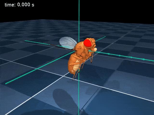 DeepMind果蝇登Nature,强化学习再立功,AI模拟飞行,逼真到腿毛颤抖
