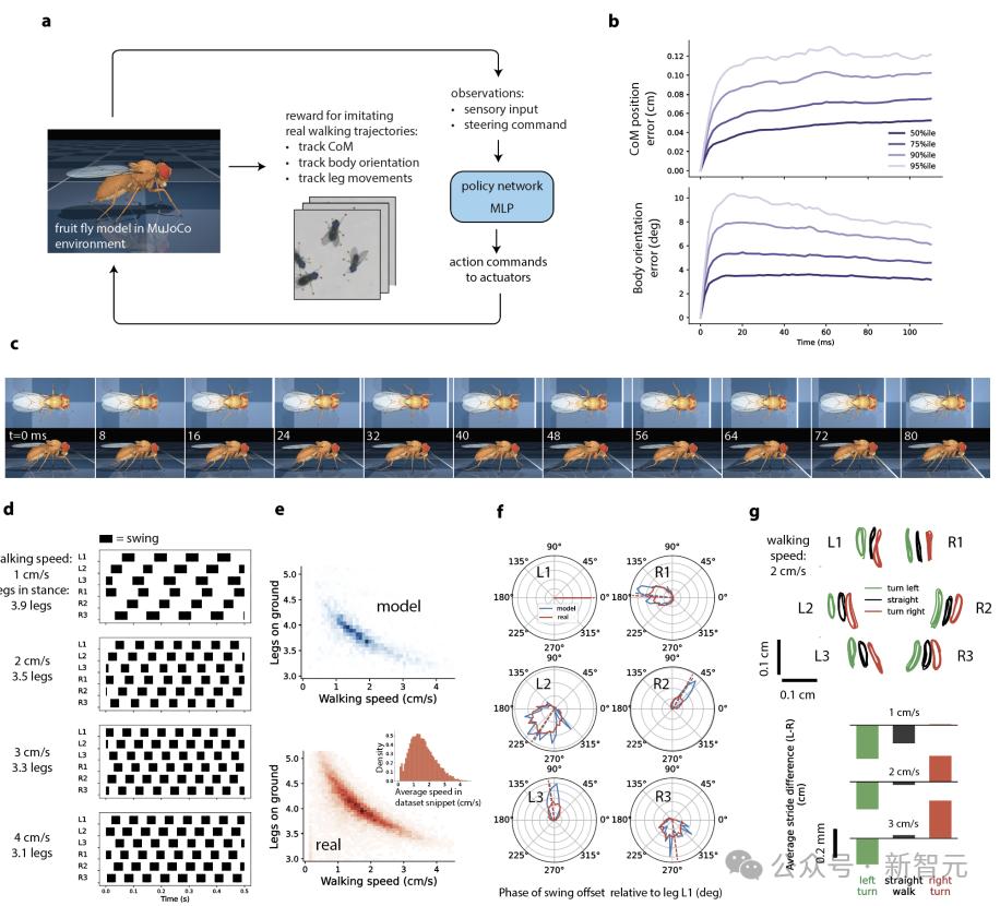 DeepMind果蝇登Nature,强化学习再立功,AI模拟飞行,逼真到腿毛颤抖