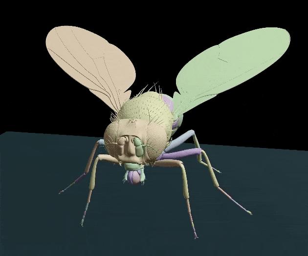 DeepMind果蝇登Nature,强化学习再立功,AI模拟飞行,逼真到腿毛颤抖