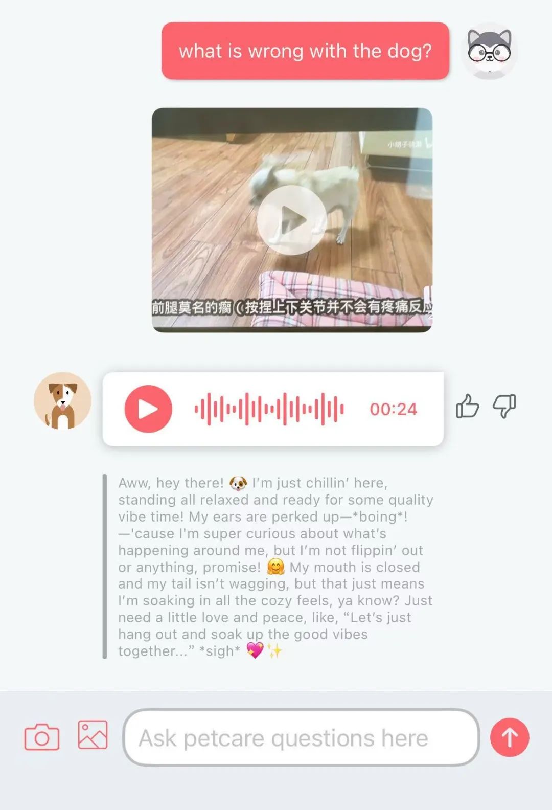 用AI翻译“狗语”,准确率高达81.5%,这个能让狗子说话的AI产品火了