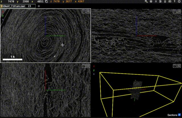 AI再破2000年前「上古卷轴」，古希腊著作原文首次重见天日