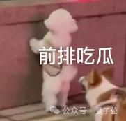 OpenAI:GPT-5就是All in One,集成各种产品