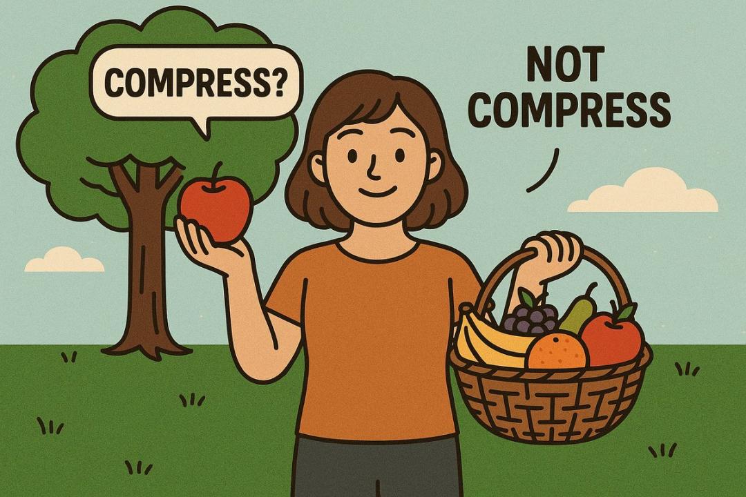 LeCun新作反杀AGI派!AI连「鸟」都搞不懂,拿什么超越人类?