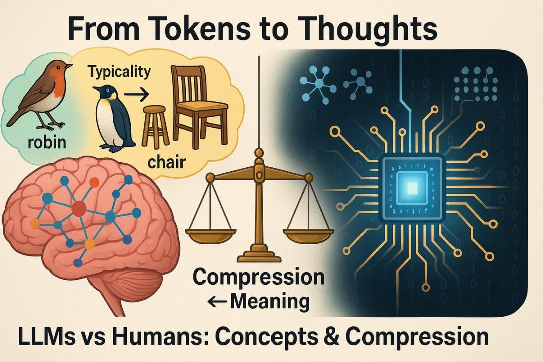 LeCun新作反杀AGI派!AI连「鸟」都搞不懂,拿什么超越人类?