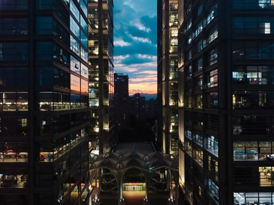 文科转行后，我终于吃上了时代红利