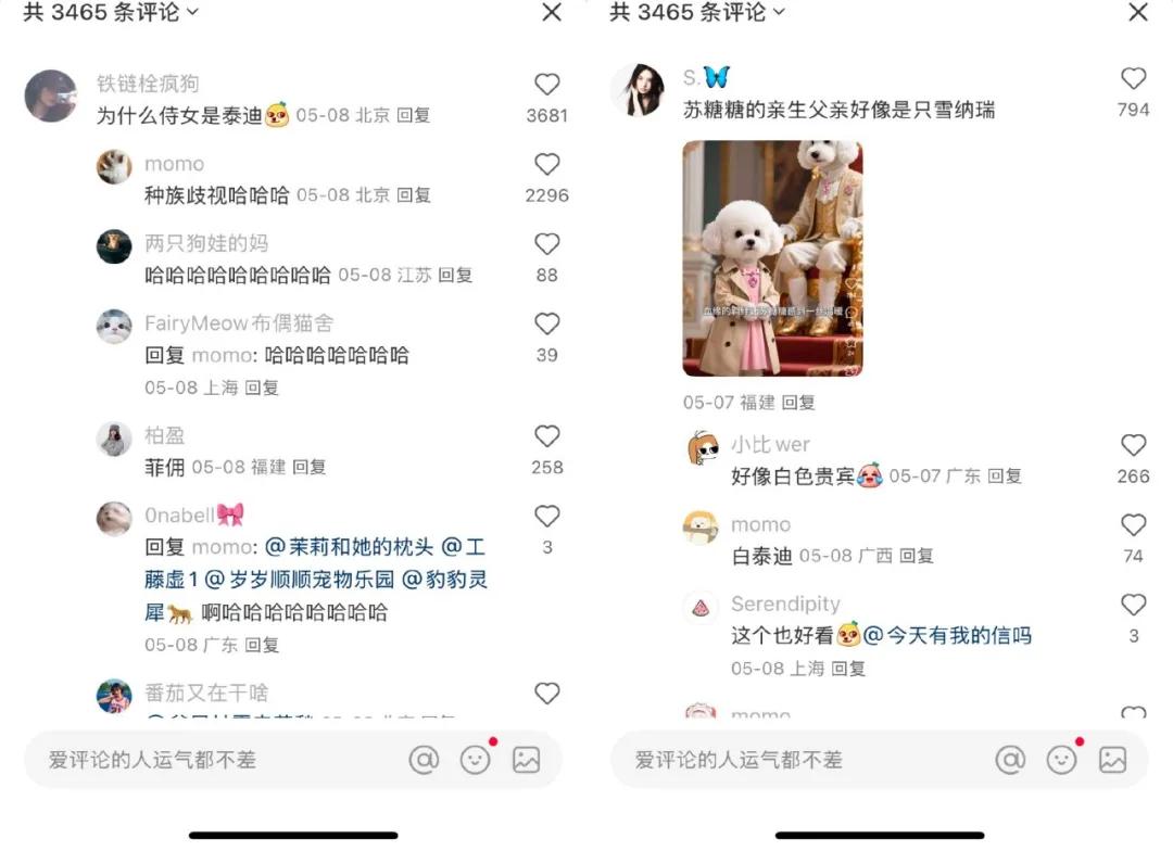 风靡全网的AI宠物账号,幕后推手们到底赚不赚钱?