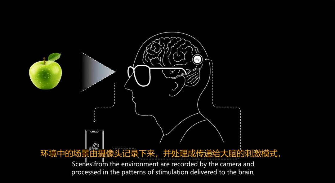 刚刚,马斯克切脑全场震撼!插脑只要1.5秒,26年治愈失明,28年全人类变AI