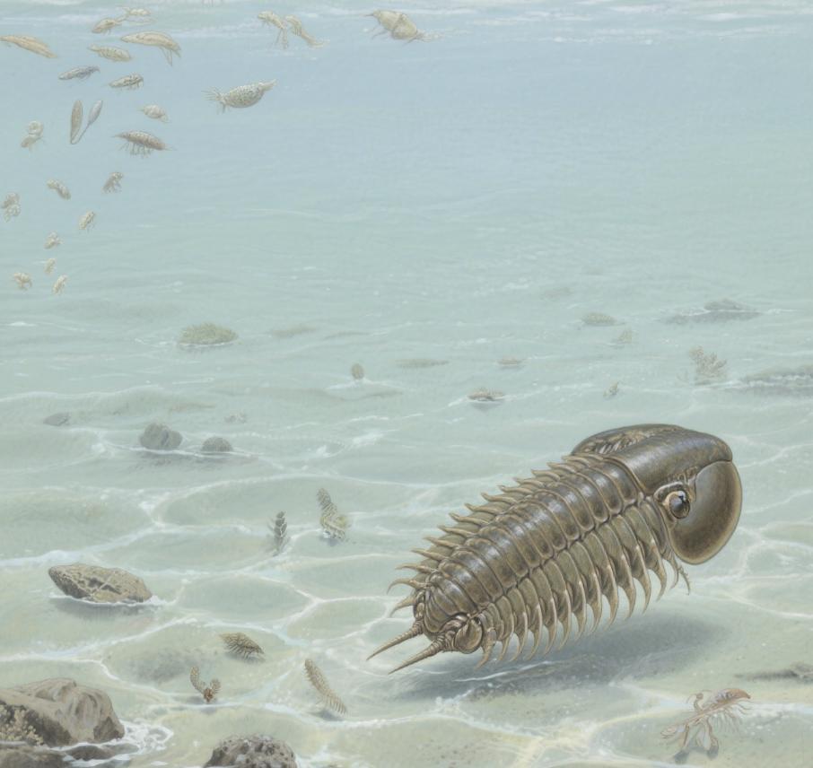 李飞飞最新访谈:没有空间智能,AGI就不完整