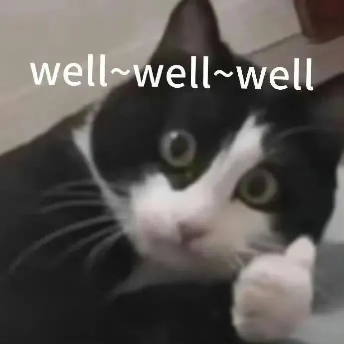 苹果开发者自曝用Claude完成95%开发,开发应用已上架