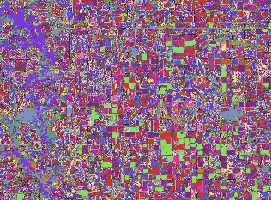 谷歌把整个地球装进大模型,实时观测,按天更新