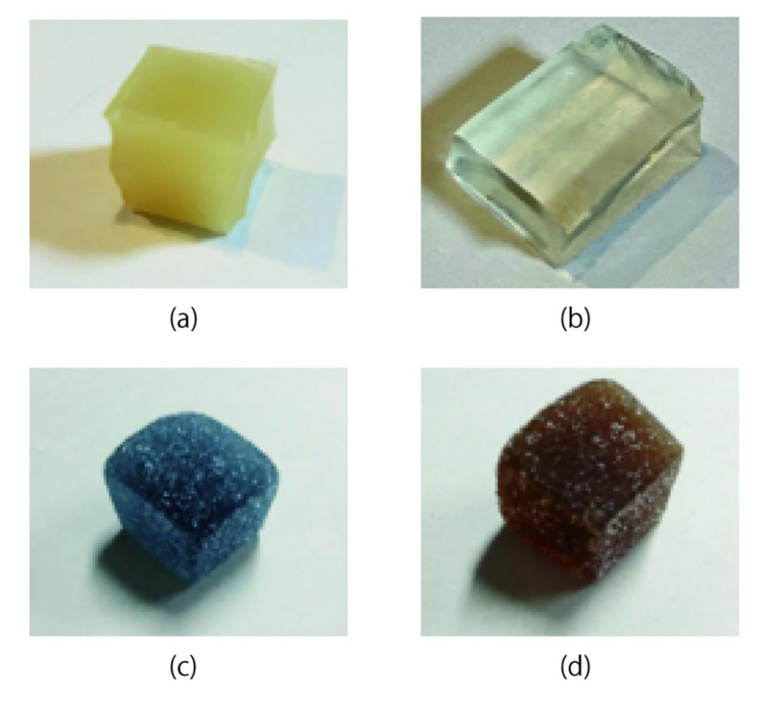 肚子不舒服,吃饭不香?嚼个机器人就好了。