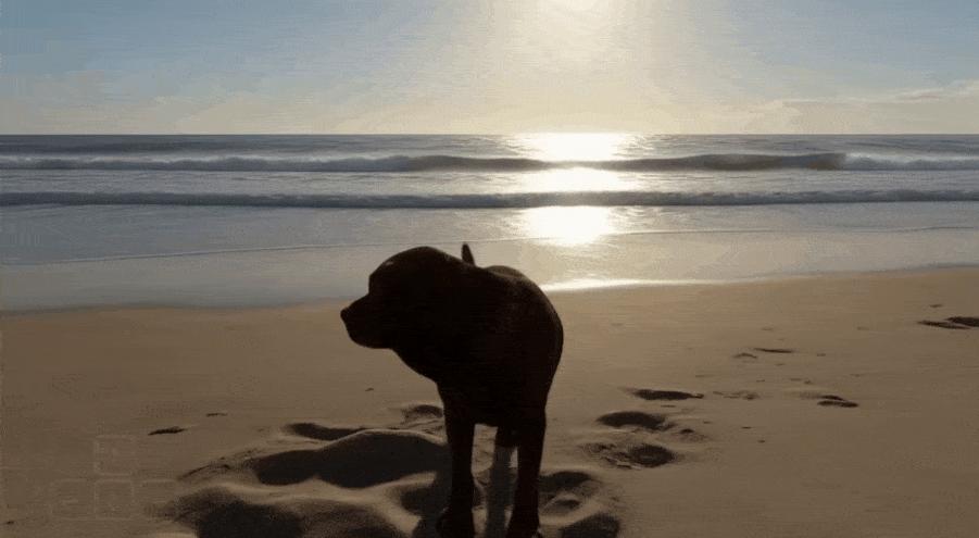 谷歌摊牌:Genie 3让你1秒「进入」名画,人人可造交互世界