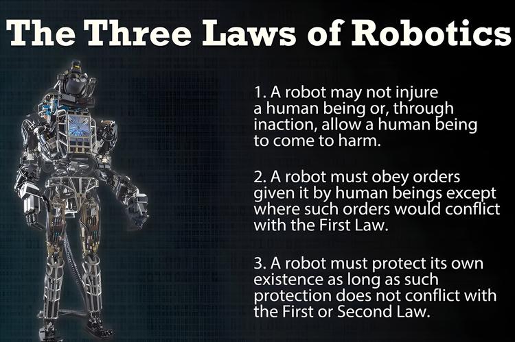 当AI比我们更聪明:李飞飞和Hinton给出截然相反的生存指南