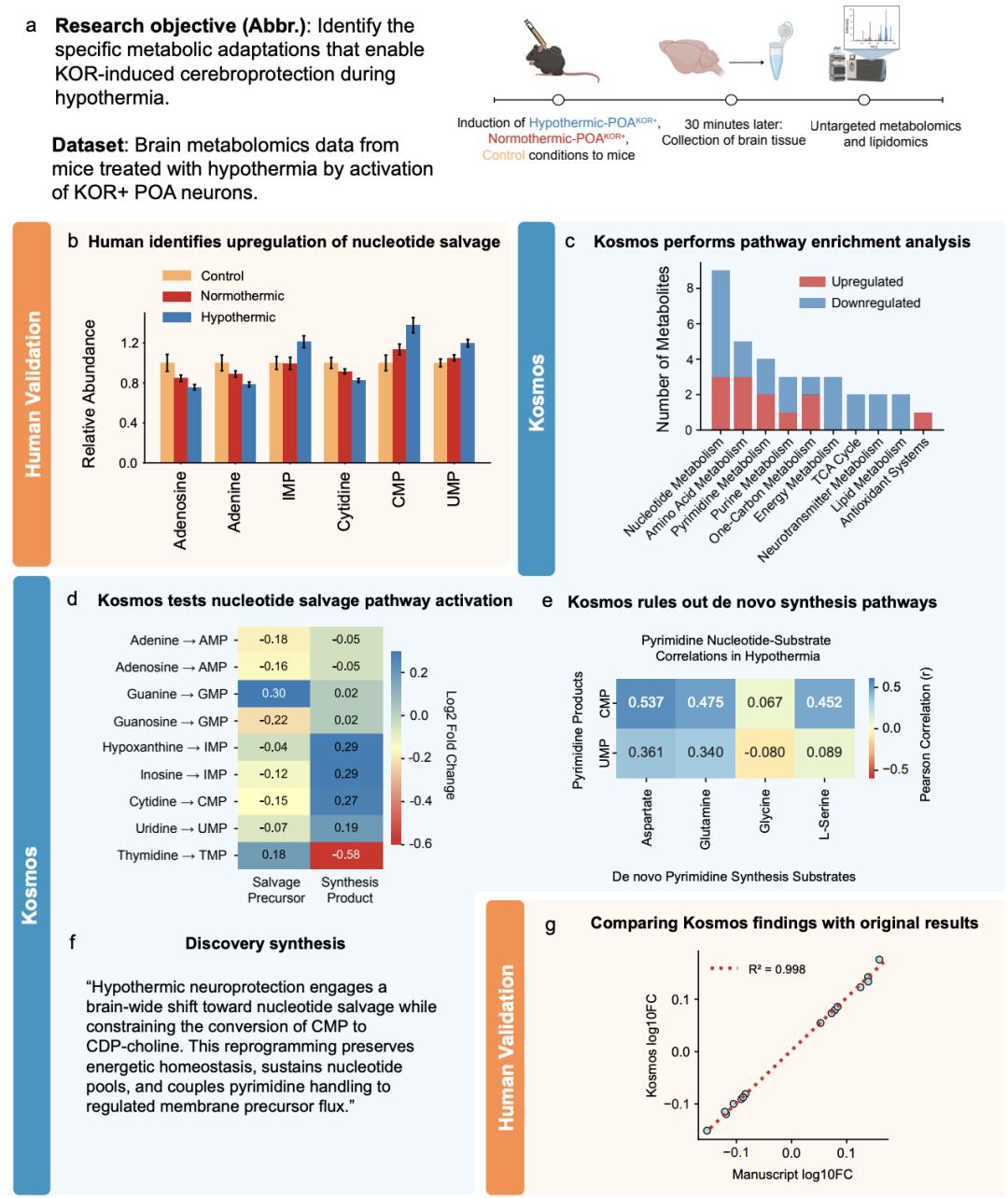 AI半天顶博士6个月,奥特曼太激动,生化圈巨震