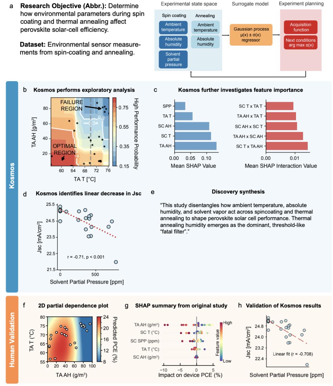 AI半天顶博士6个月,奥特曼太激动,生化圈巨震