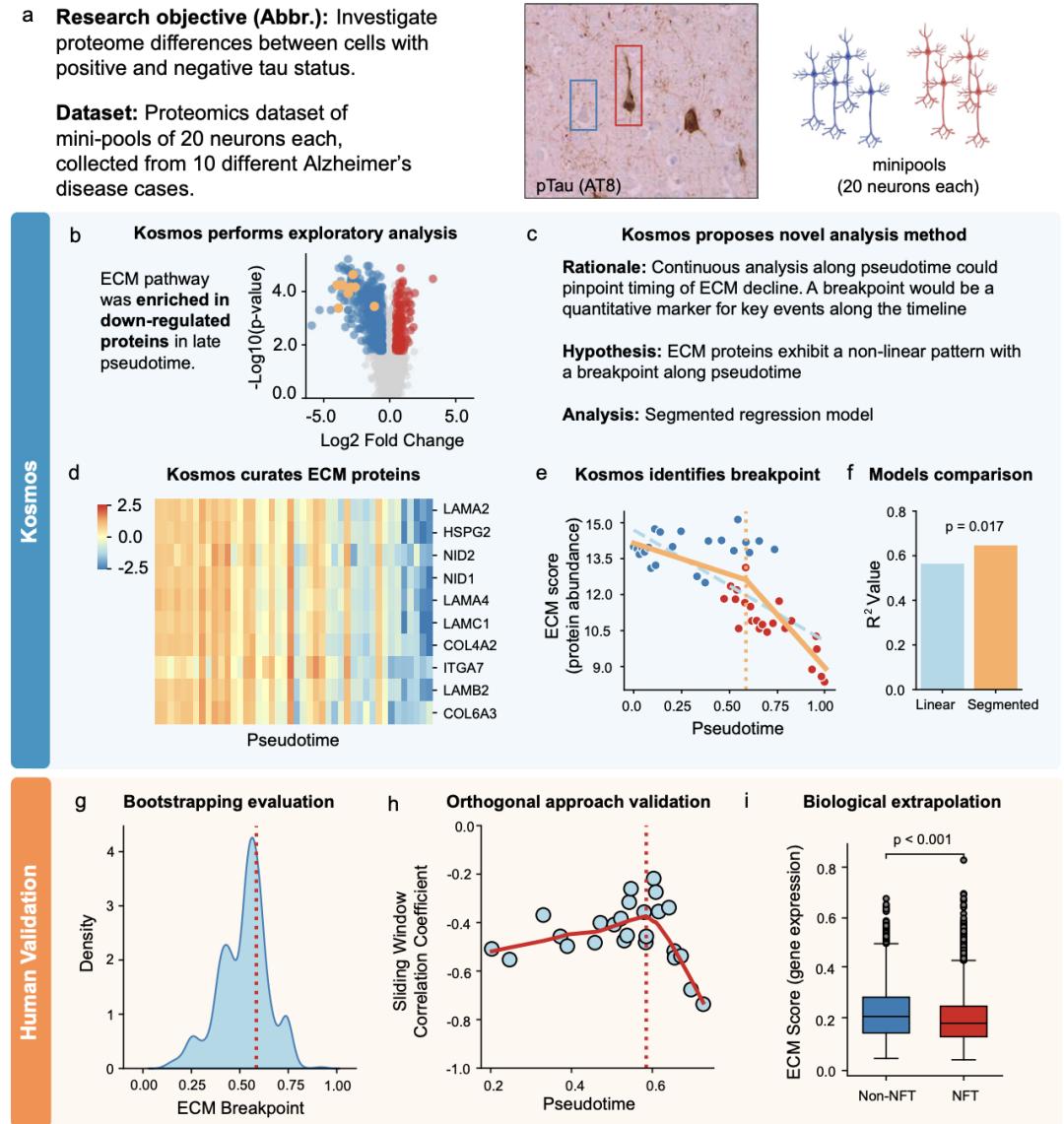 AI半天顶博士6个月,奥特曼太激动,生化圈巨震