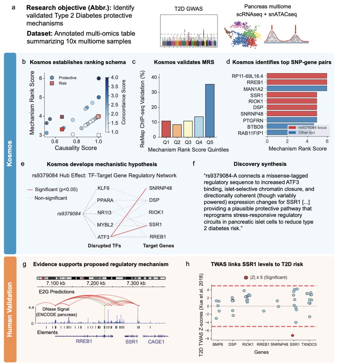 AI半天顶博士6个月,奥特曼太激动,生化圈巨震