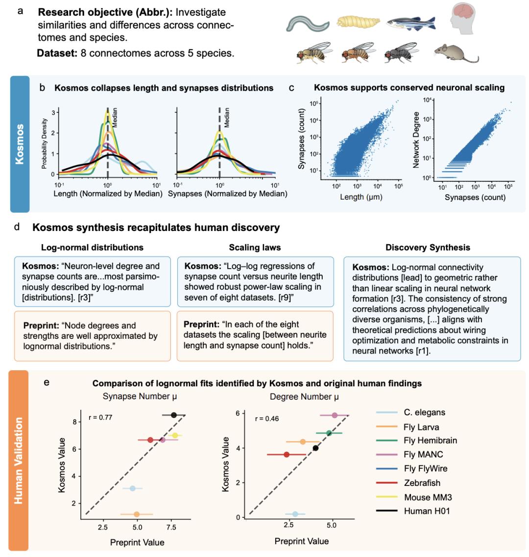 AI半天顶博士6个月,奥特曼太激动,生化圈巨震