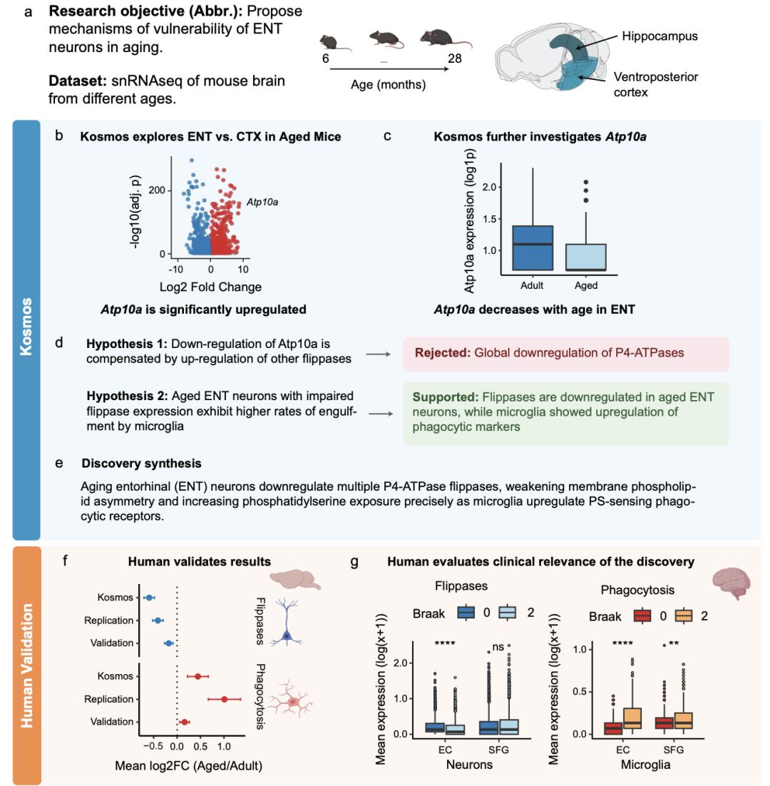 AI半天顶博士6个月,奥特曼太激动,生化圈巨震