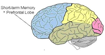 谷歌祭出Transformer杀手,8年首次大突破,掌门人划出AGI死线