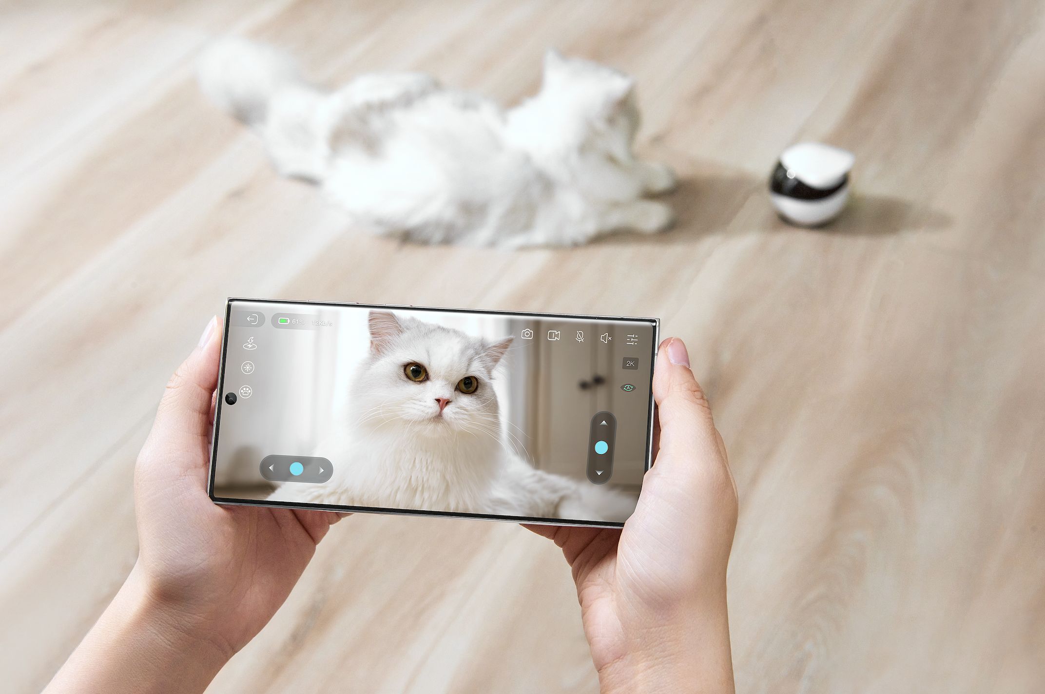 深圳硬件公司做AI陪伴机器人,拿下红杉投资,用户量破百万