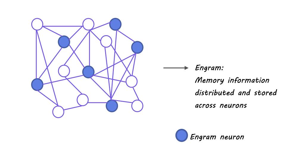 梁文锋署名新论文,DeepSeek V4架构首曝?直击Transformer致命缺陷