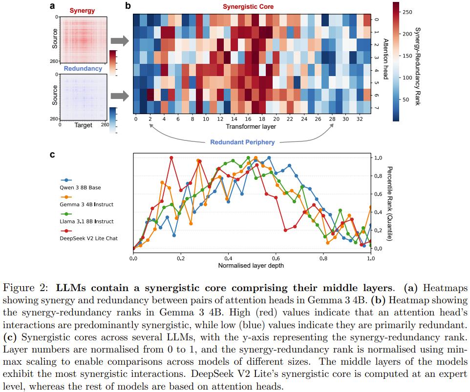 大模型长脑子了？研究发现LLM中层会自发模拟人脑进化