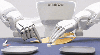 最神秘的机器人公司，浮出水面