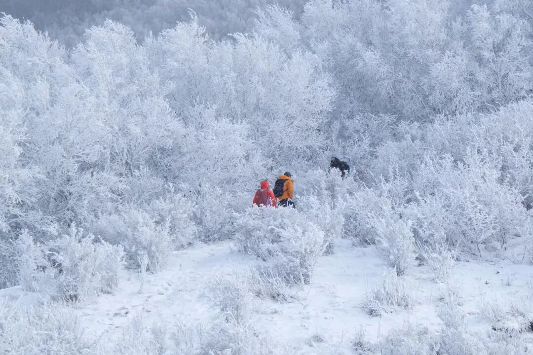 AI大厂疯抢，文科生时代红利来了?