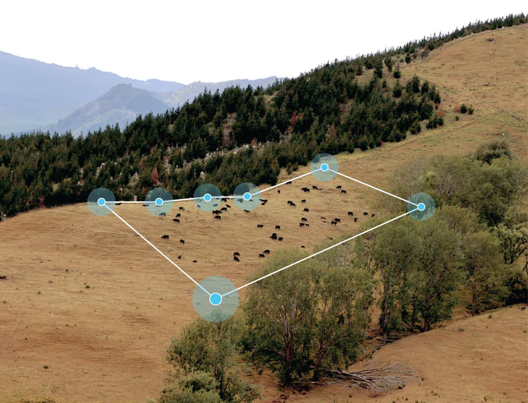 硅谷大佬抢着投，给奶牛戴AI项圈：估值20亿美元