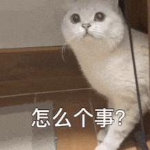 卡帕西解锁大模型新玩法,构建个人知识库,“大部分Token已经不跑代码了”