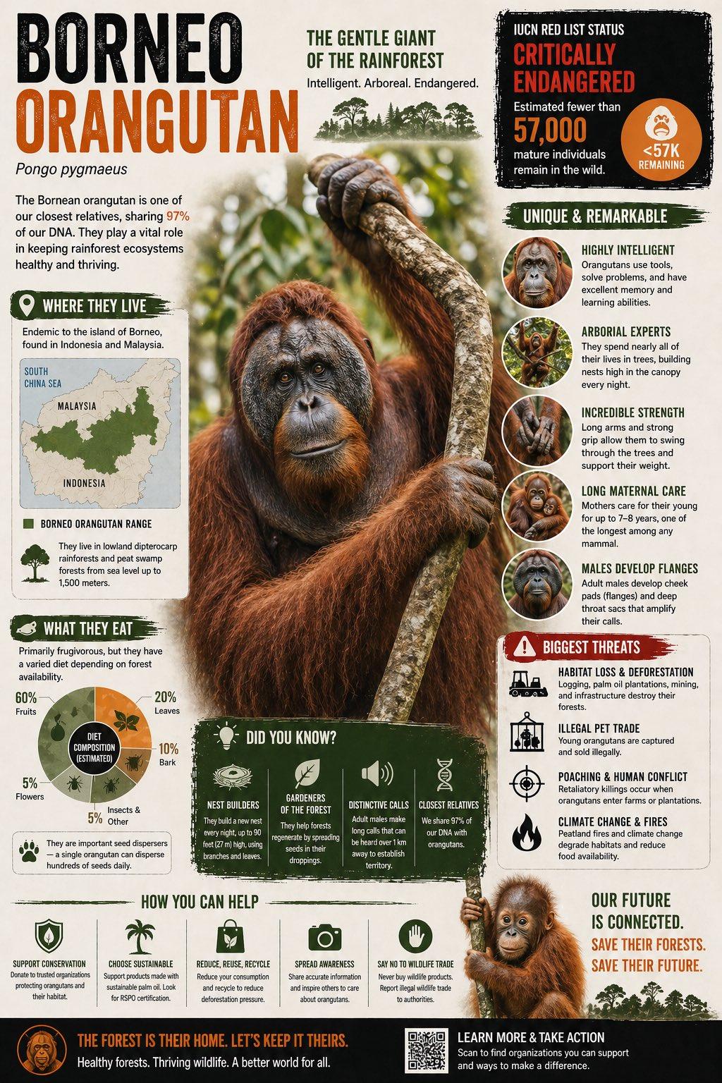 AI智力天花板崩了，GPT-5.5 Pro视觉智商145，撞倒门萨俱乐部门槛