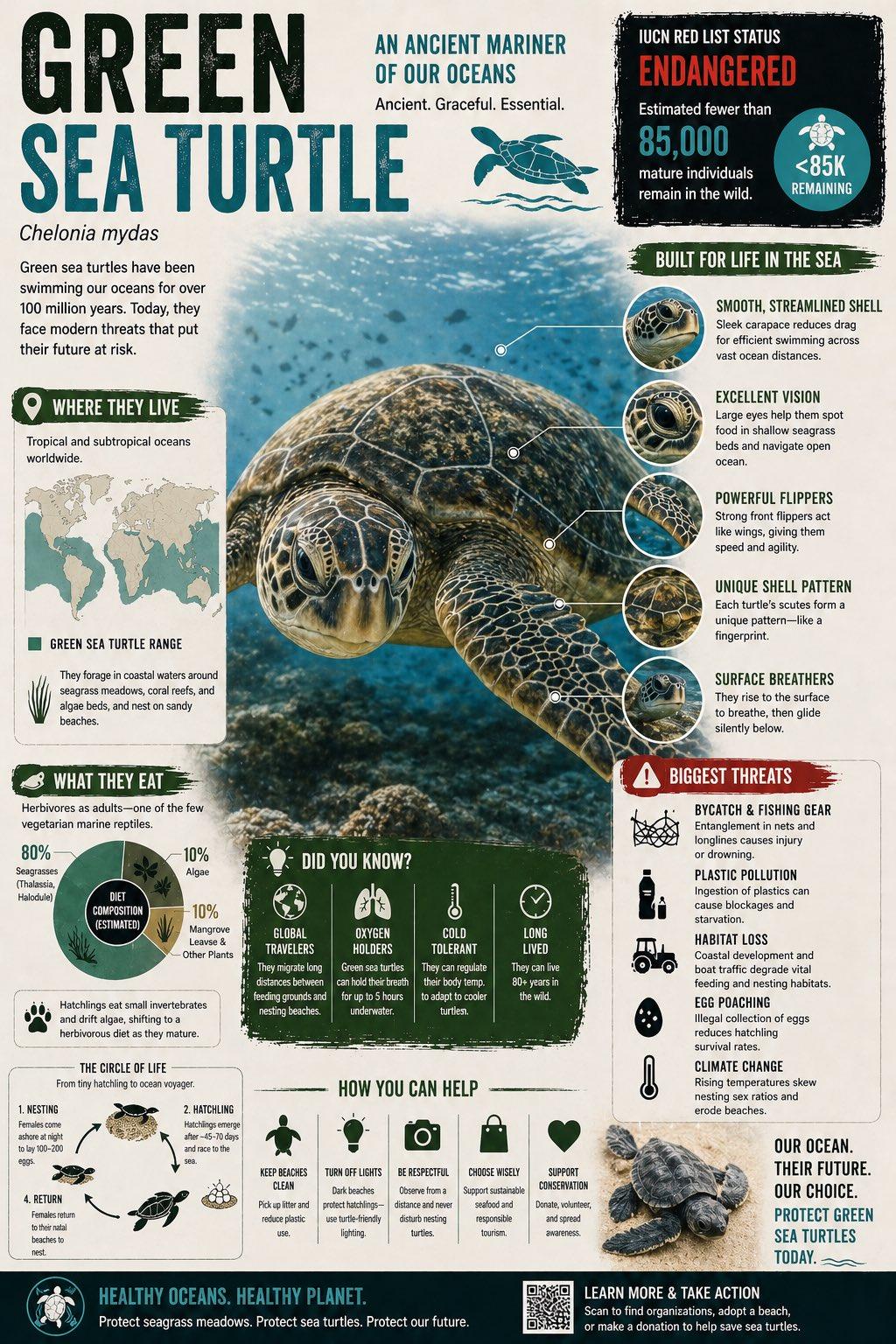 AI智力天花板崩了，GPT-5.5 Pro视觉智商145，撞倒门萨俱乐部门槛