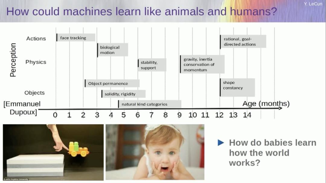 图灵奖得主 Yann LeCun 万字演讲：今天的 AI 比猫还笨，自曝早已放弃大模型