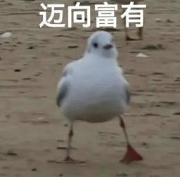 英伟达各岗位薪资曝光:最贵的不是AI研究员,基本工资200万/年的扎堆