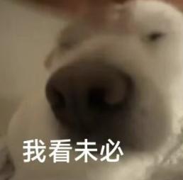 英伟达各岗位薪资曝光:最贵的不是AI研究员,基本工资200万/年的扎堆