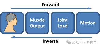 哈佛DeepMind开辟「虚拟神经科学」新领域,在世界模拟器驯养「赛博老鼠」