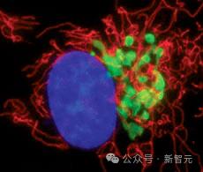 模拟5亿年自然进化史,全新蛋白质大模型ESM3诞生,前Meta老将力作LeCun转赞