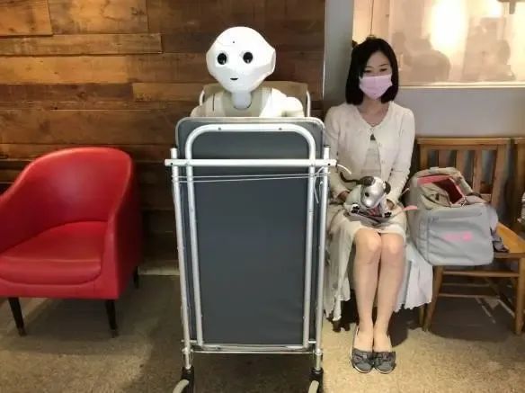 年薪150万,与AI谈恋爱成为躺赚的生意